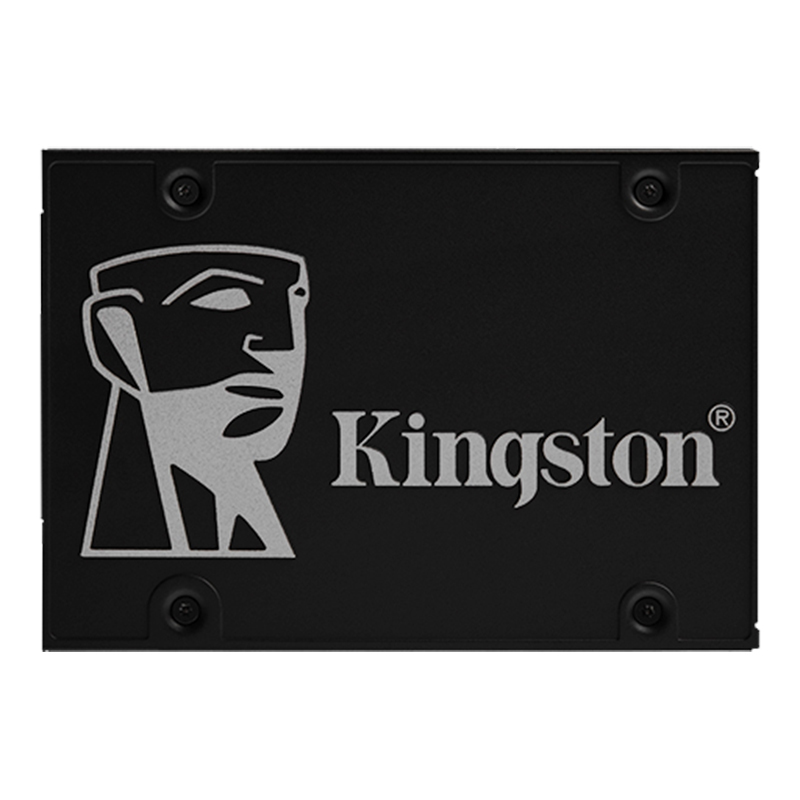 Kingston KC600 SSD 1TB 256GB 5 - Samsung Ssd Evo 870 recensione e prezzo