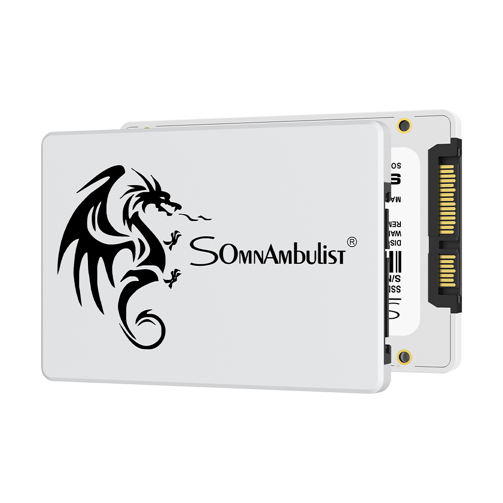 SomnAmbulist SSD 2.5 64GB 128G - Samsung Ssd Evo 870 recensione e prezzo